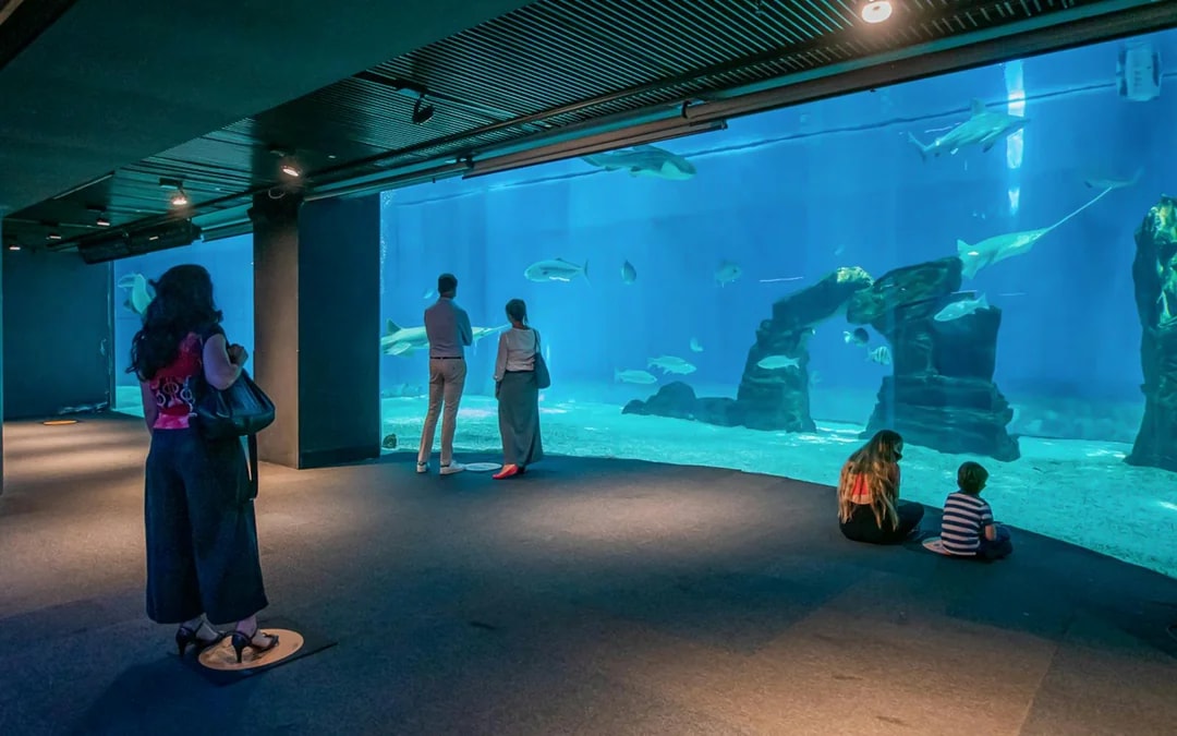 Combo: Genoa Aquarium Tickets + Pelagos Sanctuary Whale Watching Cruise Image 6