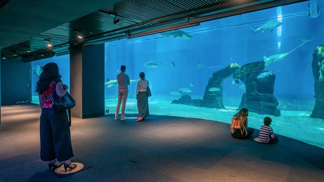 Visitors observing marine life at the Aquarium of Genoa.