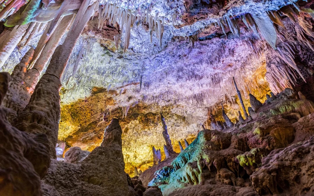 Combo: Hams' Caves + Dinosaurland Tickets Image 2