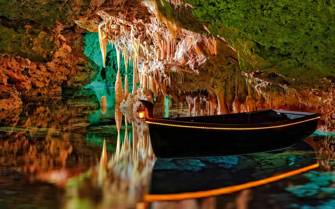 Combo: Hams' Caves + Dinosaurland Tickets Image 3