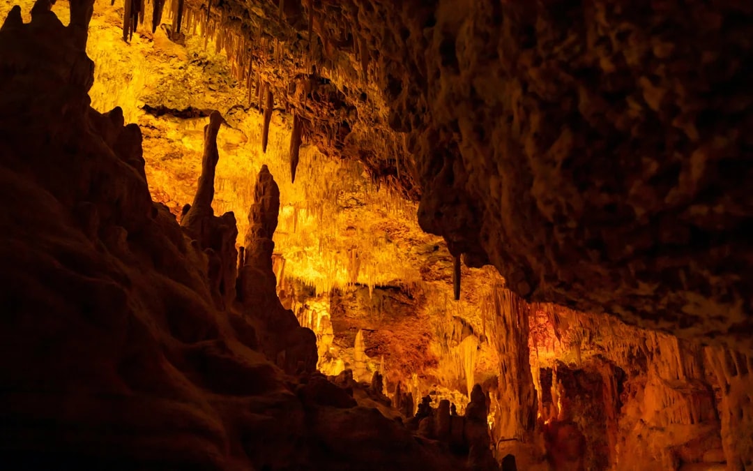 Combo: Hams' Caves + Dinosaurland Tickets Image 7