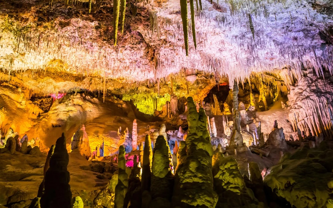 Combo: Hams' Caves + Dinosaurland Tickets Image 8