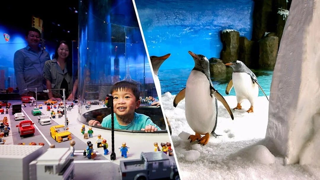 Combo: LEGOLAND Discovery Centre Melbourne + SEA LIFE Melbourne Aquarium Tickets