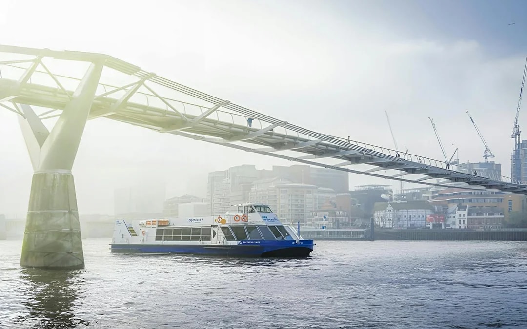Combo: London Eye Tickets + Hop-on Hop-off Bus Tour + Thames River Cruise Image 12