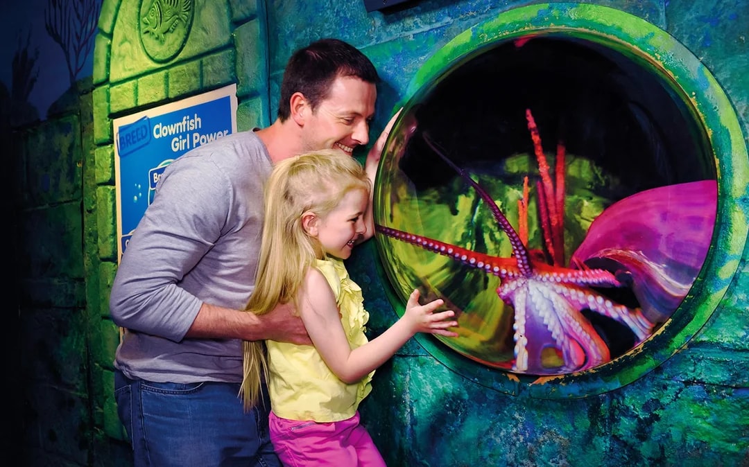 Combo: London Eye + Madame Tussauds + SEA LIFE London Aquarium Tickets Image 6