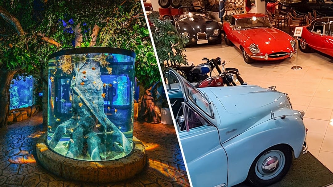 Combo Combo: Malta National Aquarium + Classic Car Collection Museum Tickets, St Pauls Bay
