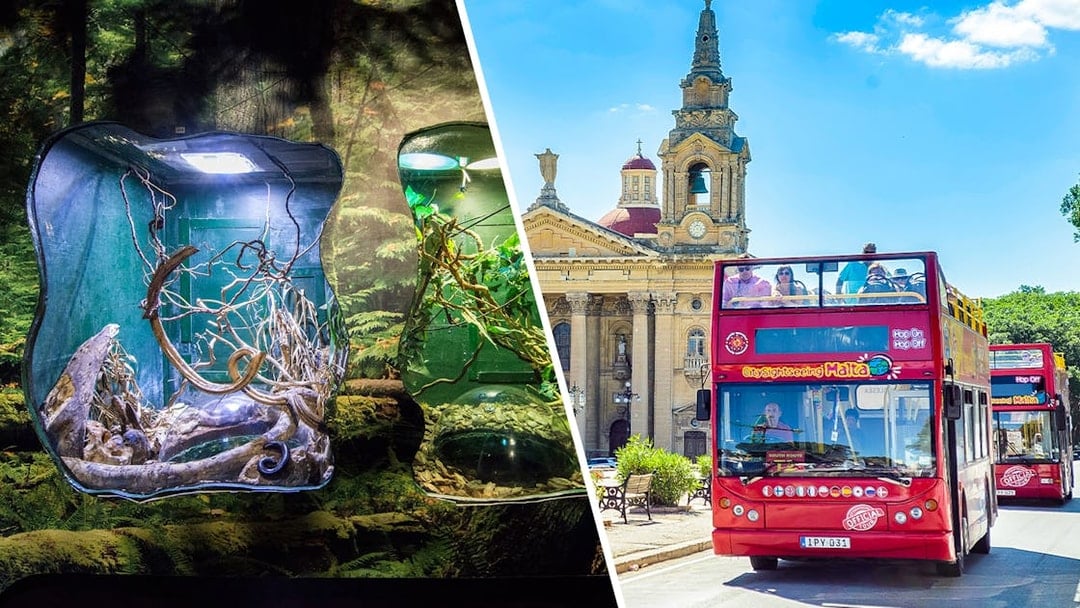 Combo Combo: Malta National Aquarium Tickets + Malta Hop-On Hop-Off Bus Tour with Harbor Cruise, St Pauls Bay