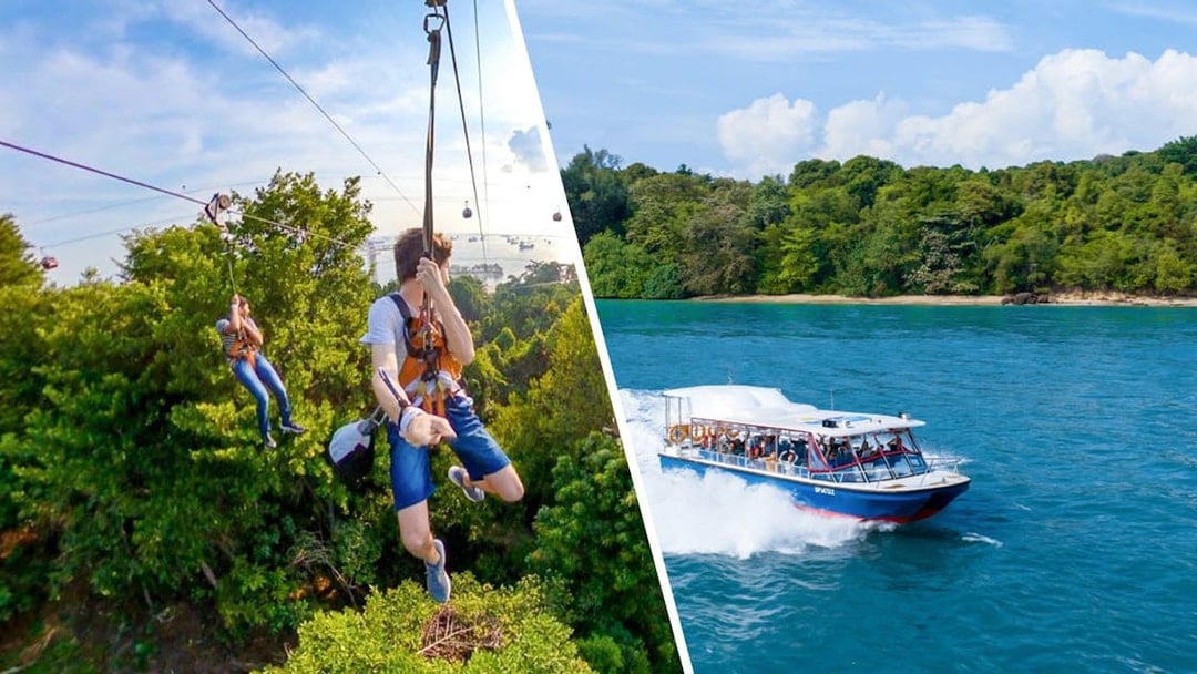 Ziplining over lush greenery and a boat tour near Singapore's coastline.