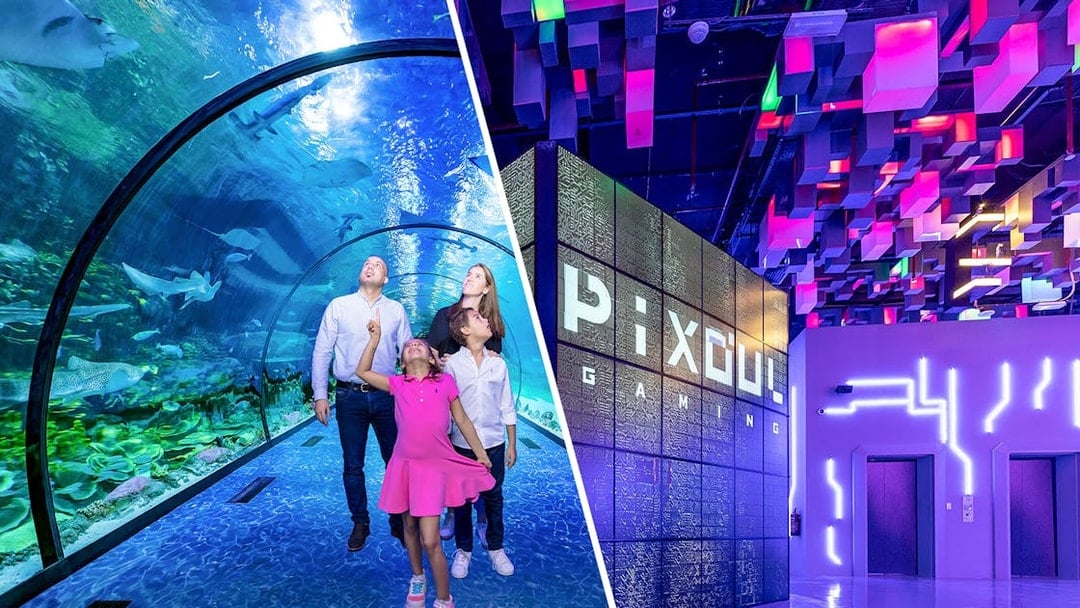 Combo: National Aquarium Abu Dhabi + Al Qana Attractions