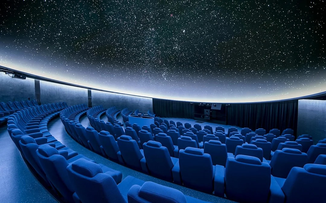 Combo: Oceanogràfic + Science Museum + Hemisfèric Tickets Image 6
