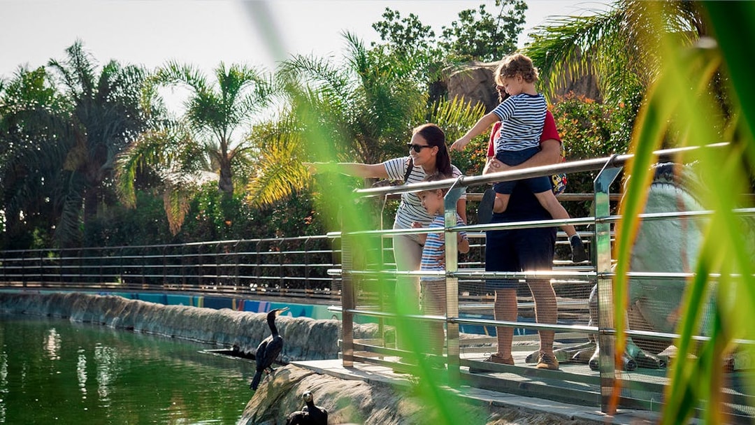 Family observing birds at Oceanogràfic Valencia.
