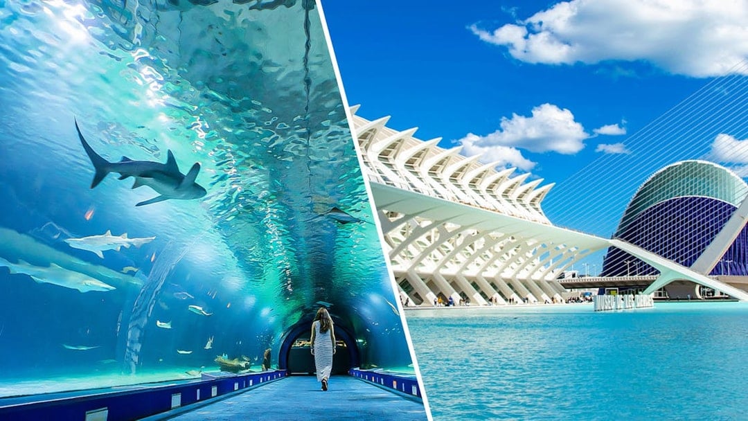 Oceanogràfic aquarium tunnel and Science Museum in Valencia, Spain.