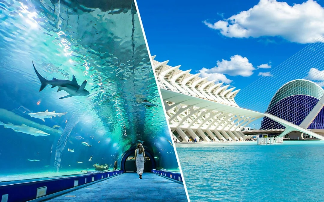 Combo: Oceanogràfic + Science Museum Tickets Image 1