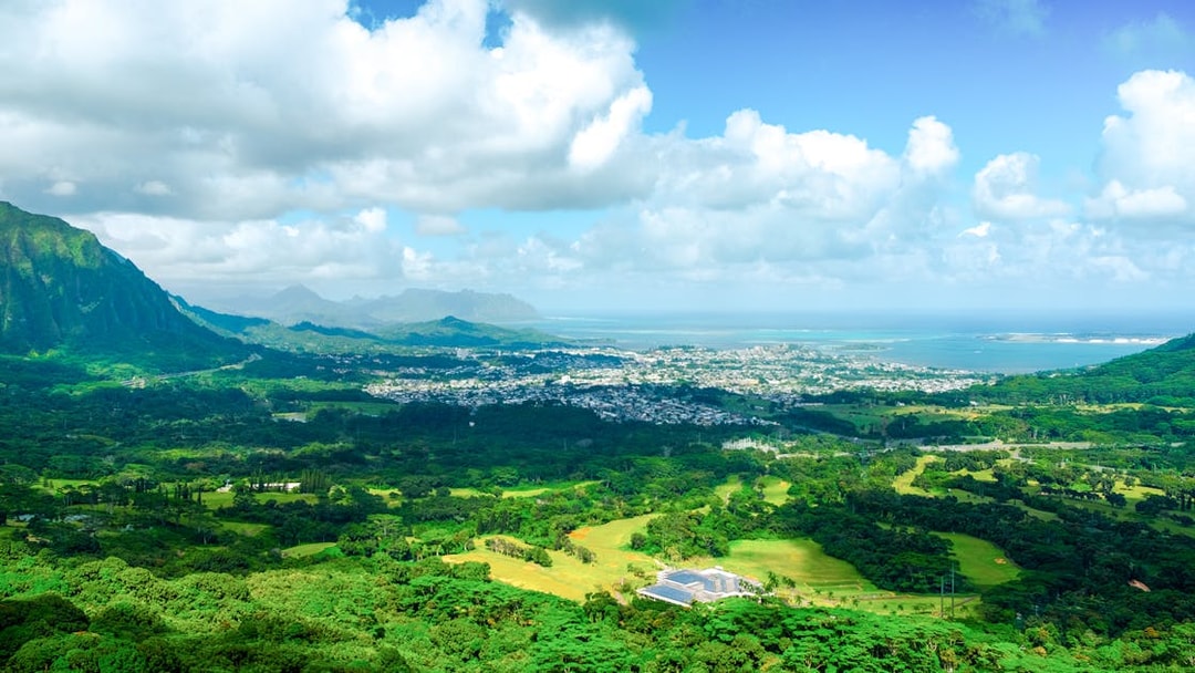 Aerial view of lush green landscape and ocean from Pali Lookout, Hawaii.