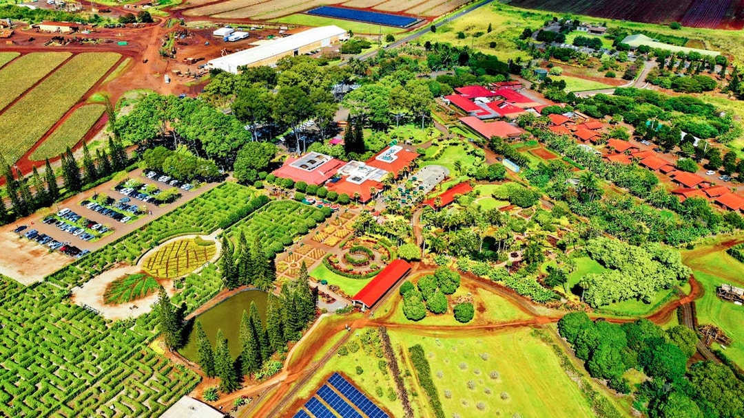Aerial view of Dole Plantation in Oahu featuring gardens, maze, and surrounding fields.
