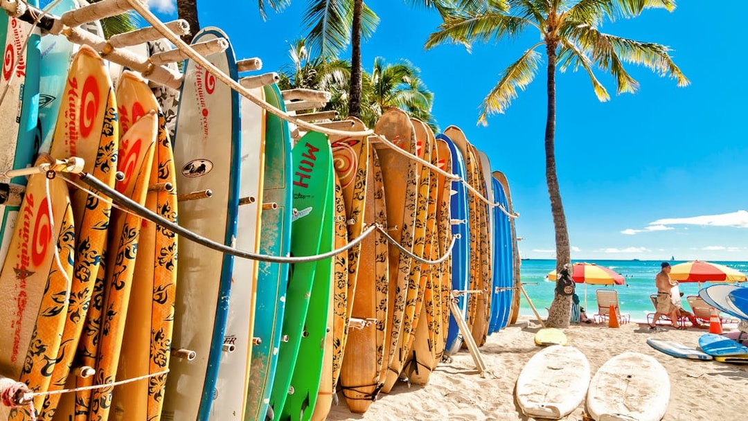 Surfboards in a rack on Waikiki Beach with palm trees and ocean in the background.