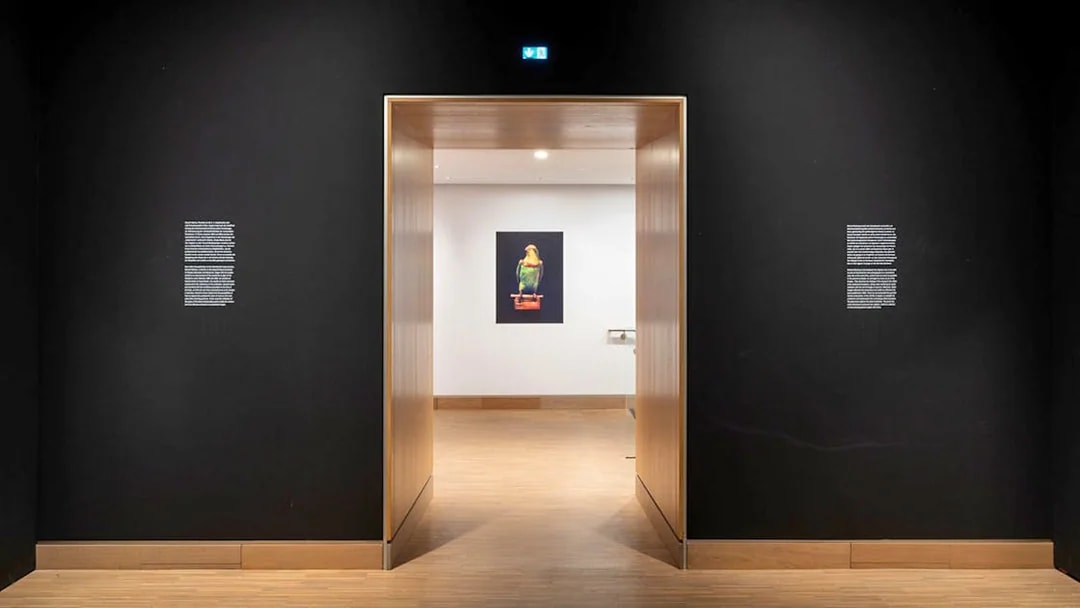 Exhibit entrance at ALBERTINA MODERN Vienna with artwork in view.