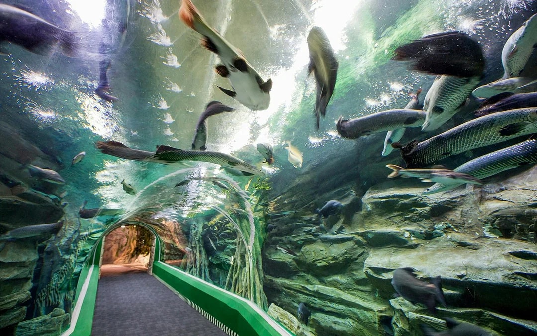Combo (Save 26%): Lotte World + Seoul Sky Observatory Tickets Image 6