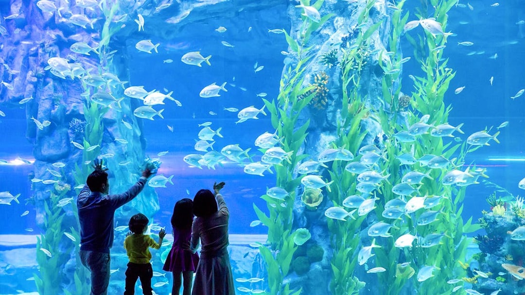 Family observing fish in a large aquarium at Lotte World, Seoul.
