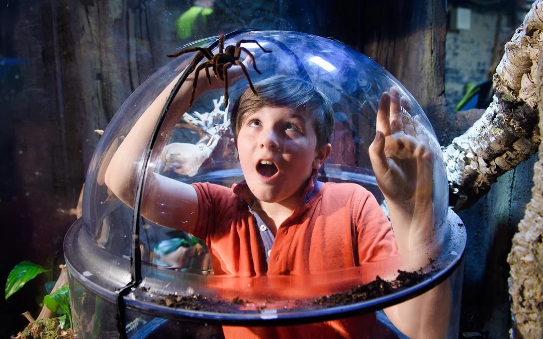 Combo: Madame Tussauds + SEA LIFE London Aquarium Tickets Image 10