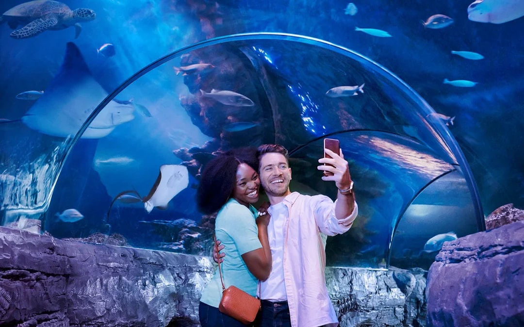 Combo: Madame Tussauds + SEA LIFE London Aquarium Tickets Image 4