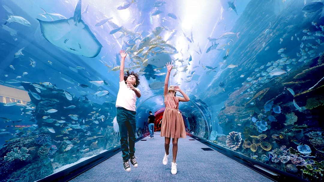 Kids exploring underwater tunnel at Dubai Aquarium with marine life above.