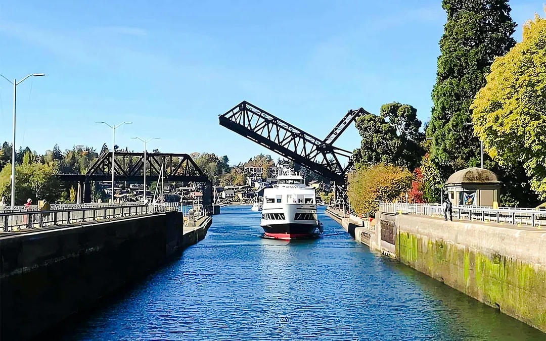 Combo: Seattle Hop-on Hop-off Bus Tour + Harbour Cruise Image 7