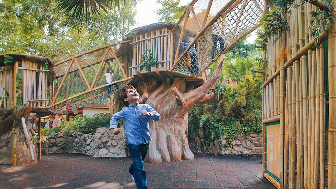 Child enjoying play area with rope bridges at Loro Park, Tenerife.
