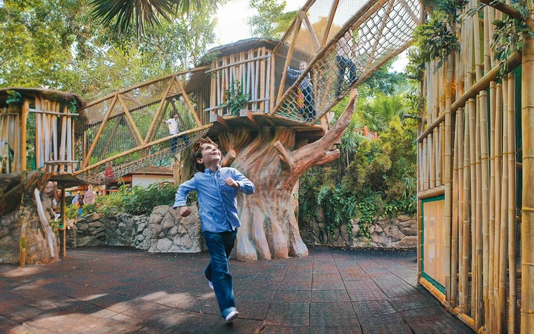 Combo: Siam Park + Loro Parque Entry Tickets Image 10