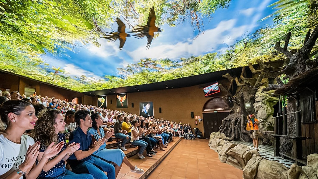 Audience watching a parrot show at Loro Park with a vibrant forest-themed ceiling.