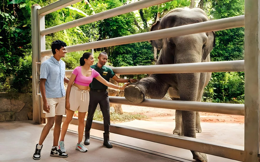 Combo: Singapore Zoo + Exploria Tickets 
 Image 3