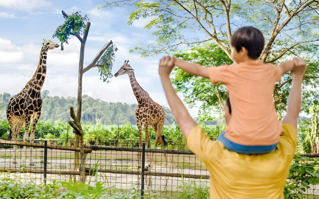 Combo: Singapore Zoo + Exploria Tickets 
 Image 10