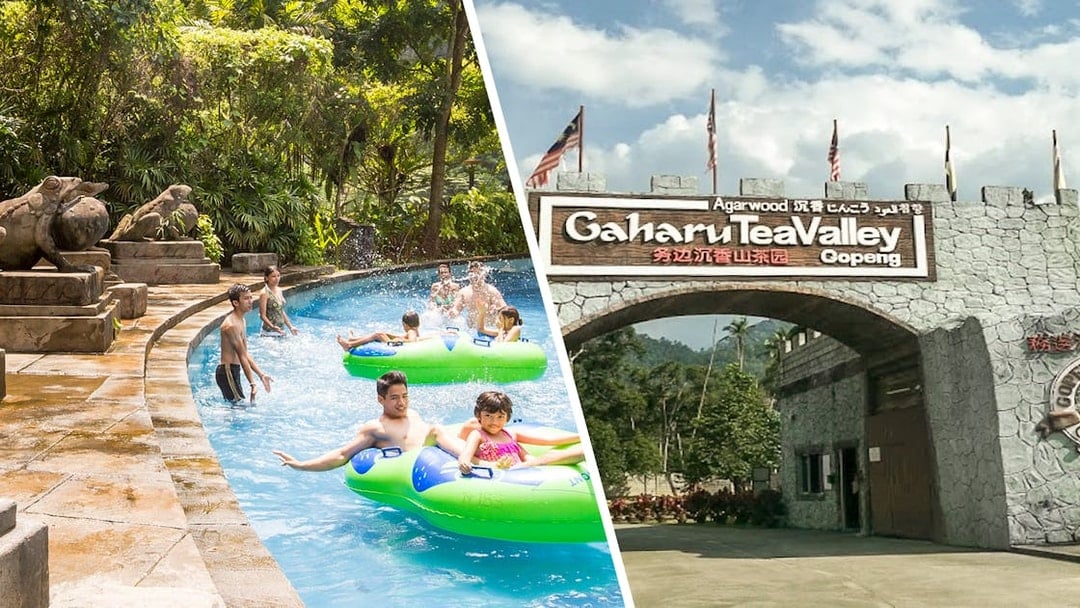 Combo: Sunway Lost World of Tambun Tickets + Gaharu Tea Valley Day Trip, Perak