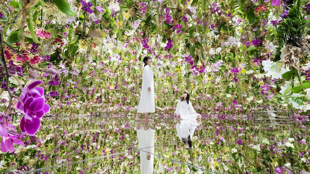 Visitors at teamLab Planets Tokyo surrounded by vibrant hanging flowers.