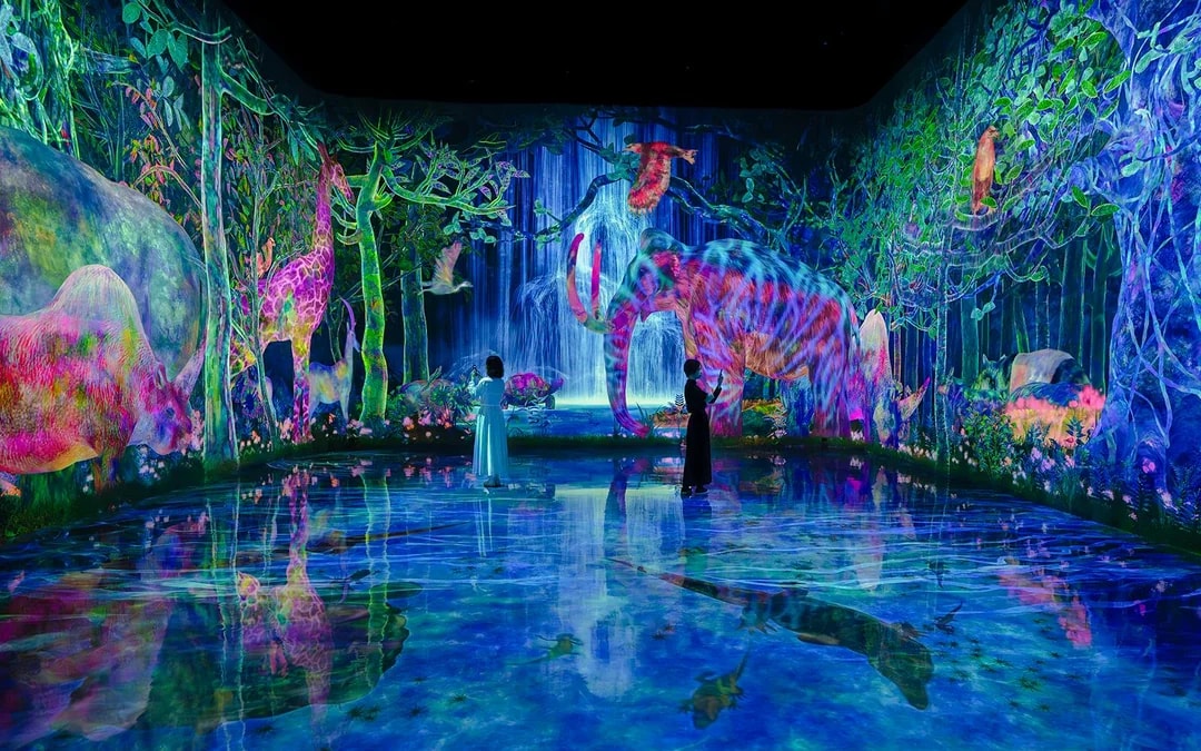 Combo: teamLab Planets TOKYO Tickets + Tokyo Subway Pass Image 3