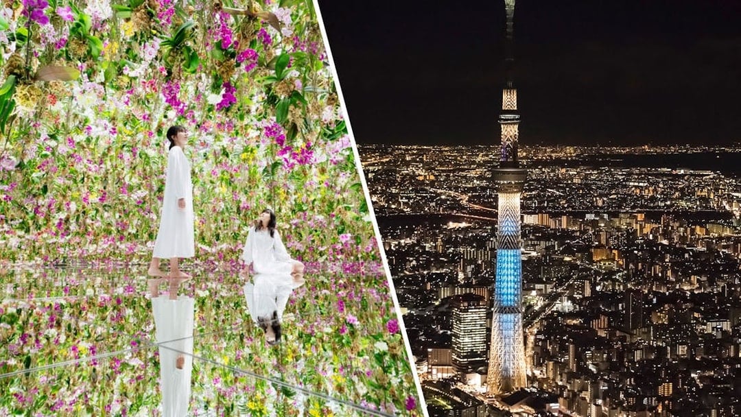 teamLab Planets TOKYO floral exhibit and Tokyo Skytree illuminated at night.