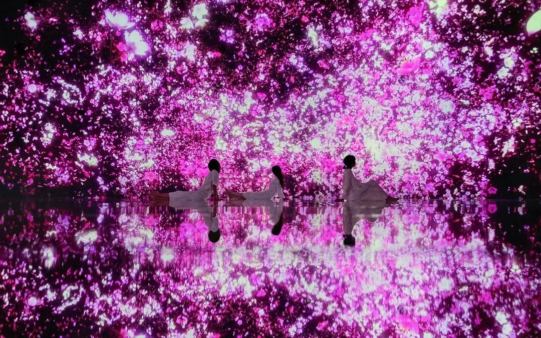 Combo: teamLab Planets Tokyo + Tokyo Observation Decks Tickets Image 6