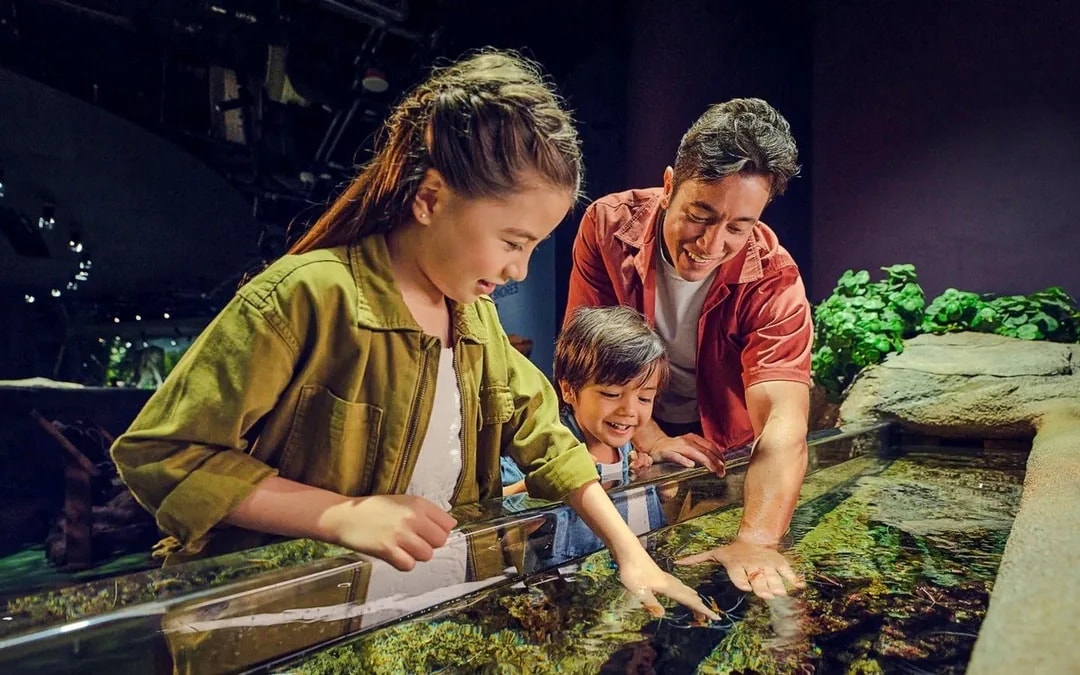 Combo: Universal Studios Singapore + Singapore Oceanarium + Adventure Cove Waterpark Tickets Image 2