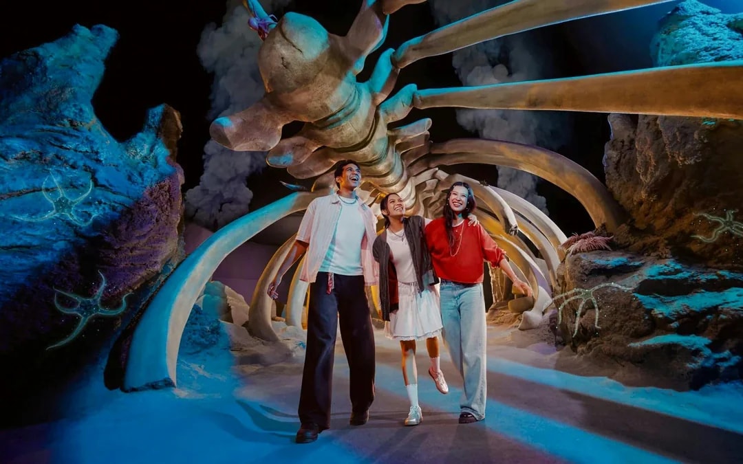 Combo: Universal Studios Singapore + Singapore Oceanarium + Adventure Cove Waterpark Tickets Image 5