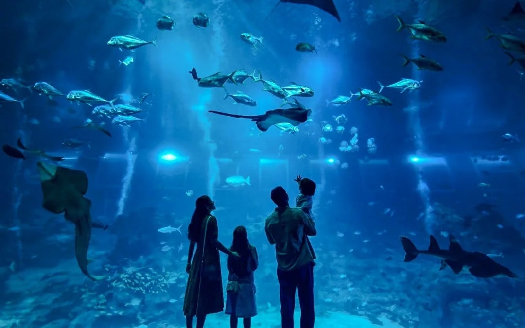 Combo: Universal Studios Singapore + Singapore Oceanarium + Adventure Cove Waterpark Tickets Image 6