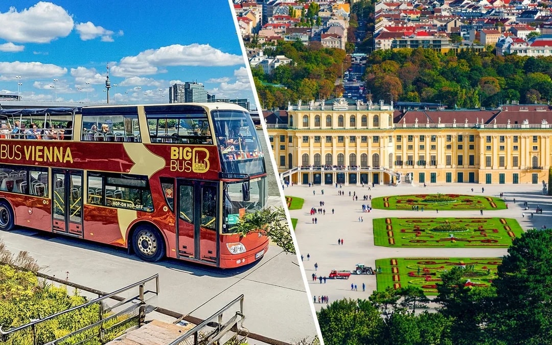 Combo: Vienna Hop-on Hop-off Bus Tour + Schönbrunn Palace & Belvedere Palace Tickets Image 1