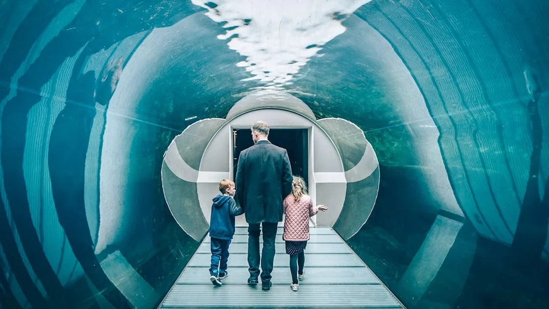 Family walking through aquarium tunnel in Copenhagen.