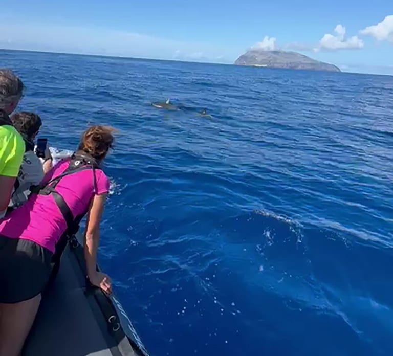 Boat Trip to Corvo and Island Sightseeing Tour