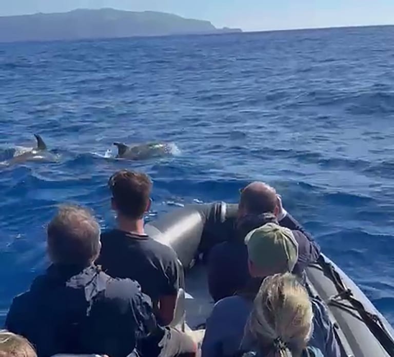 Boat Trip to Corvo and Island Sightseeing Tour