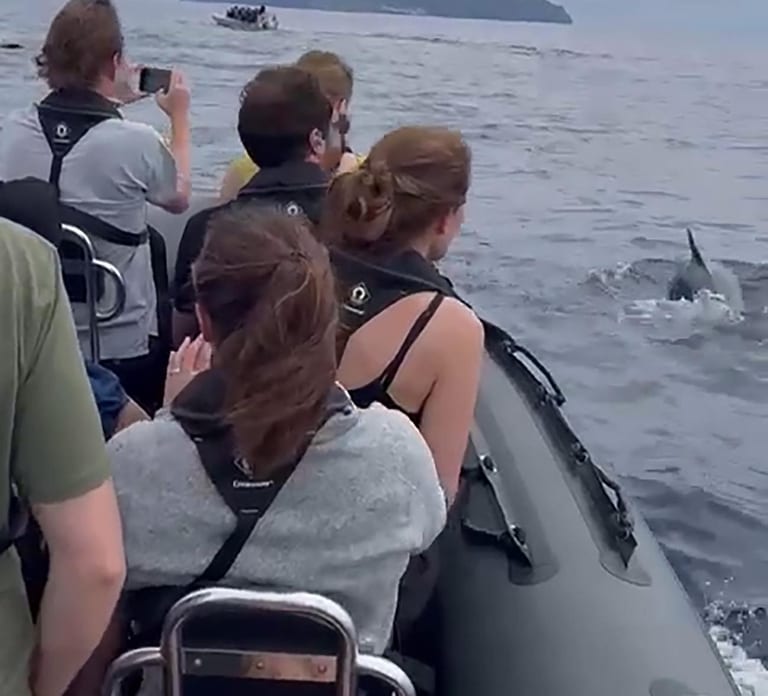 Boat Trip to Corvo and Island Sightseeing Tour
