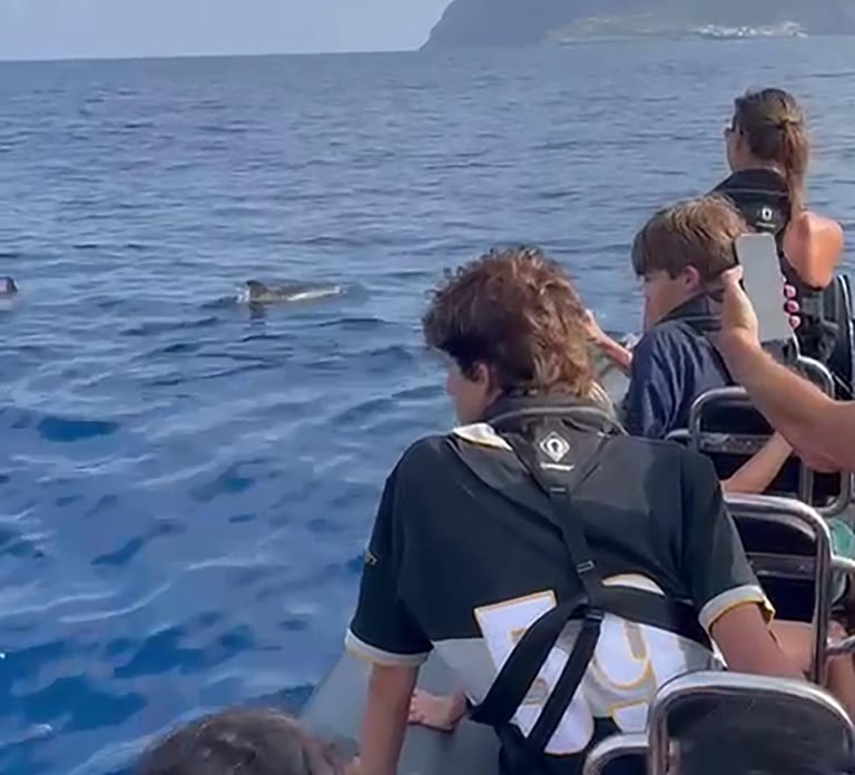 Boat Trip to Corvo and Island Sightseeing Tour