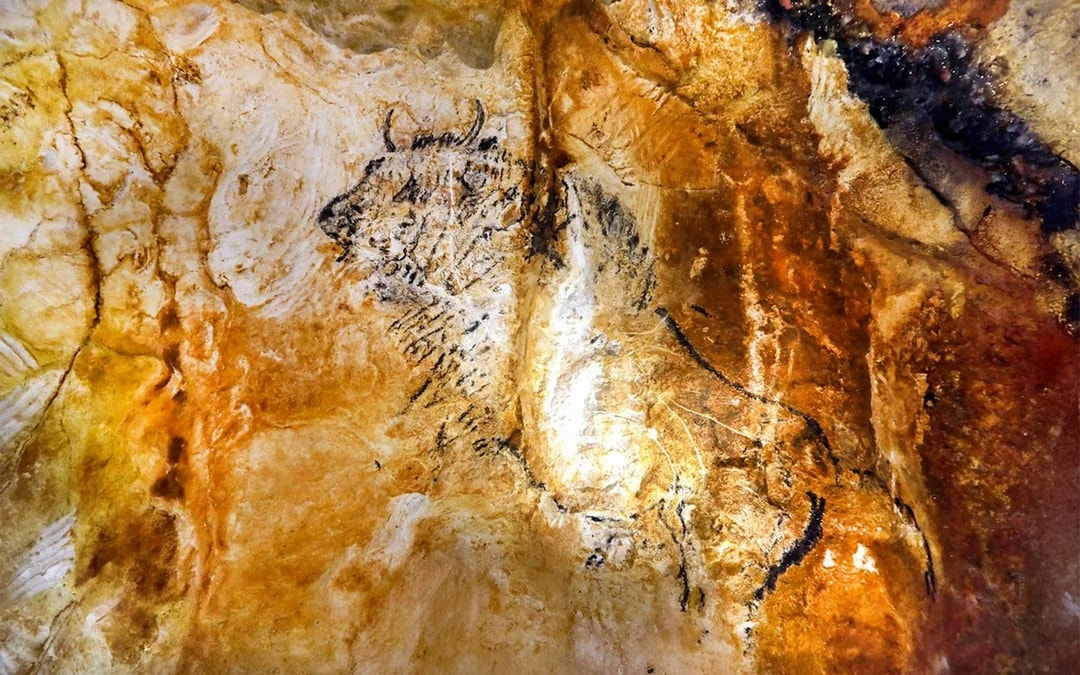 Cosquer Cave Entry Ticket + City Tour With Audio Guide Image 6