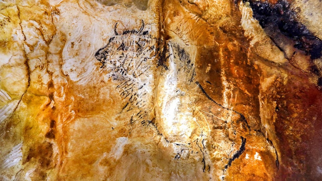 Ancient animal cave painting in Cosquer Cave, Marseille.