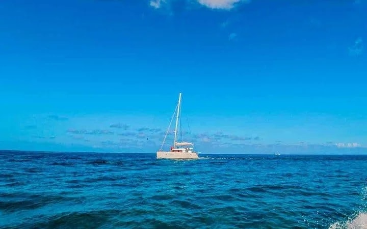 Cozumel El Cielo Starfish Sanctuary and Reefs Snorkel Tour with Fresh Ceviche Image 6