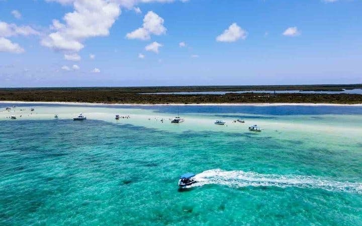 Cozumel El Cielo Starfish Sanctuary and Reefs Snorkel Tour with Fresh Ceviche Image 7